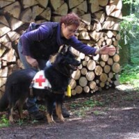 1 Zur Suche losschicken