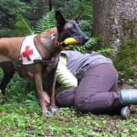 2 Person gefunden Bringsel aufgenommen