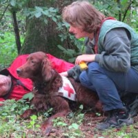 4 SanH Zeigen der gefundenen Person