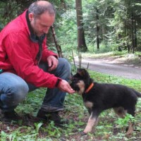 5 Aufbau des Junghundes im Revier